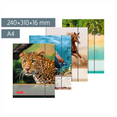 Sammelmappe für A4 | A4, Füllhöhe: 16 mm, sortiert
