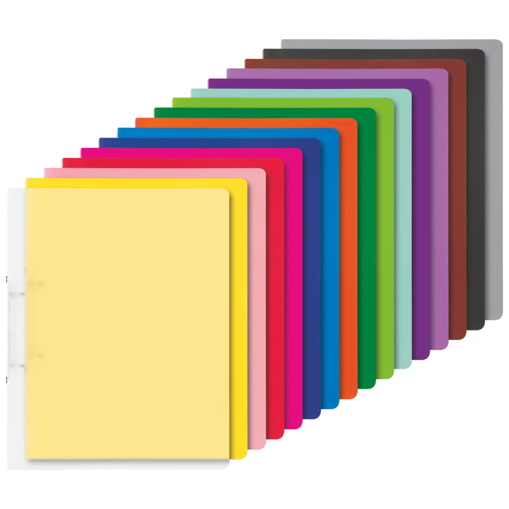 Ringbuch-Set FACT!pp | A4, 2 Ringe, Füllhöhe: 16 mm, 16 Stück