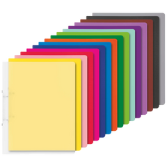 Ringbuch-Set FACT!pp | A4, 2 Ringe, Füllhöhe: 16 mm, 16 Stück