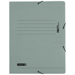 Sammelmappe FACT!plus | A4, Füllhöhe: 10 mm, grau