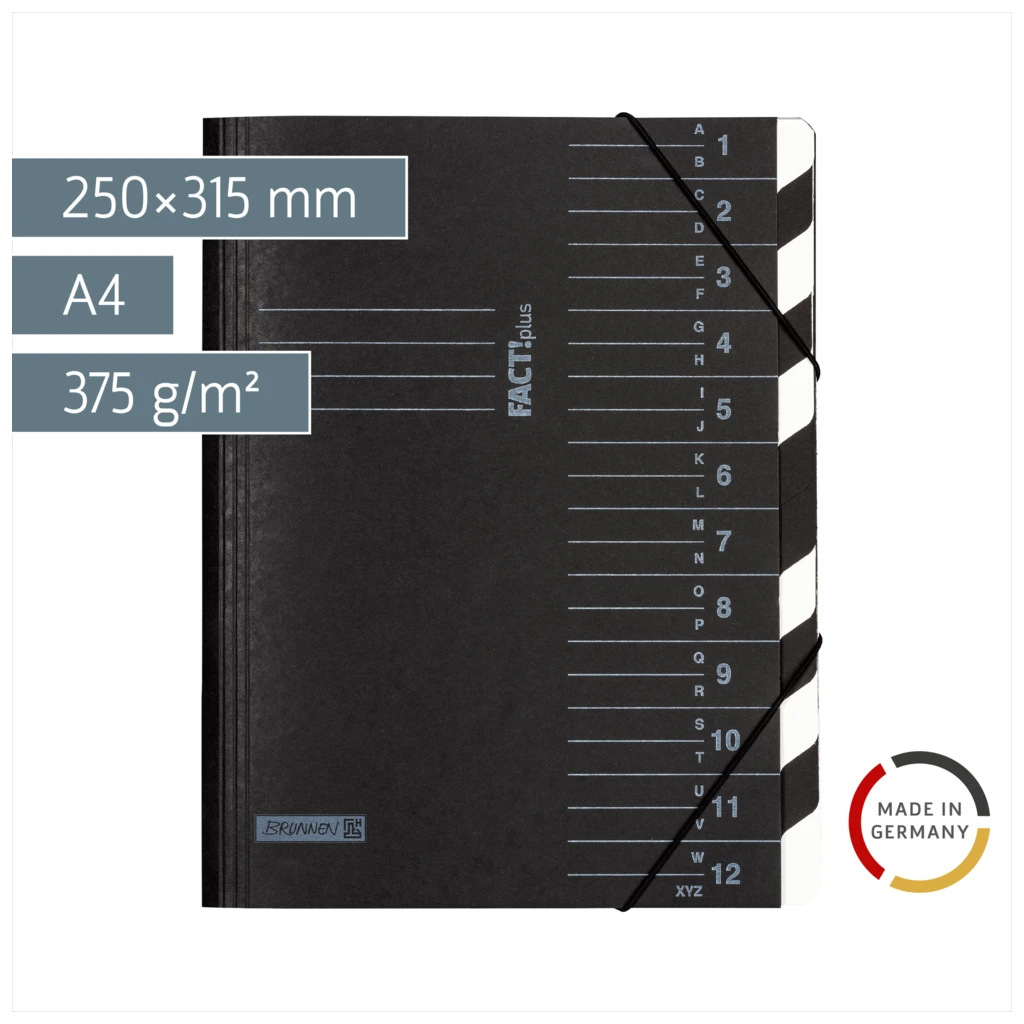 Ordnungsmappe FACT!plus | A4, 12 Fächer, schwarz