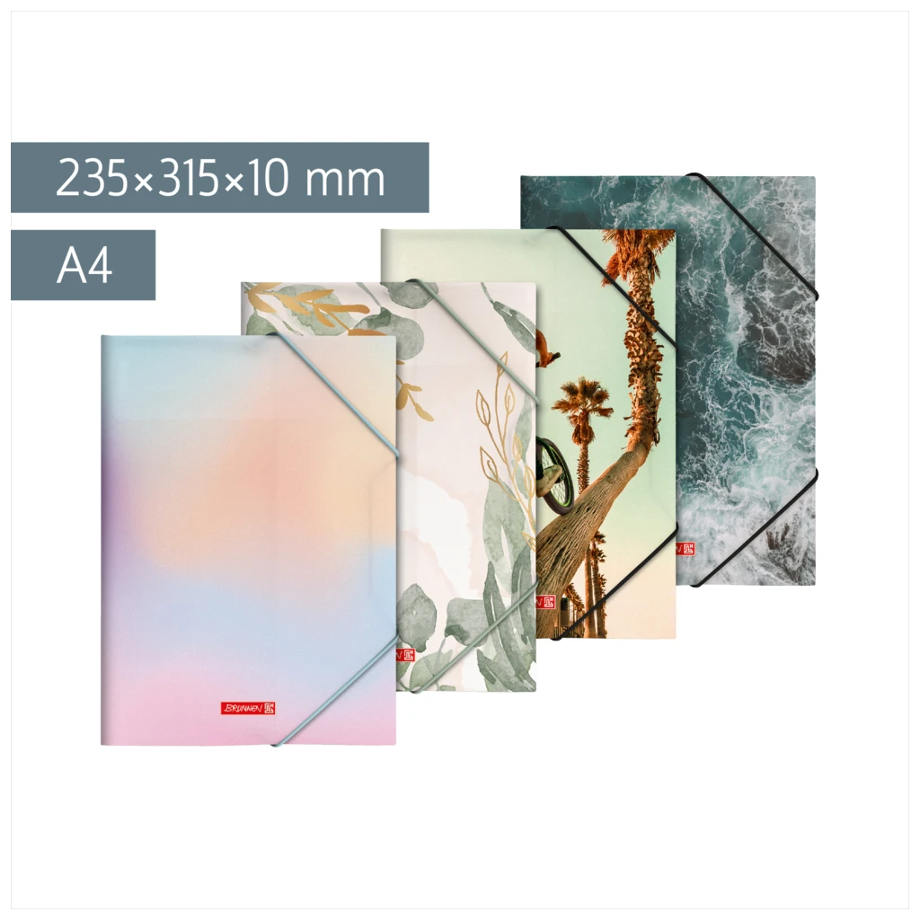 Sammelmappe für A4 | A4, Füllhöhe: 10 mm, sortiert