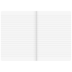 Notizbuch Premium FACT!plus Kladde | A5, liniert, braun