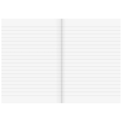 Diarien | A5, liniert, 60 Blatt, sortiert