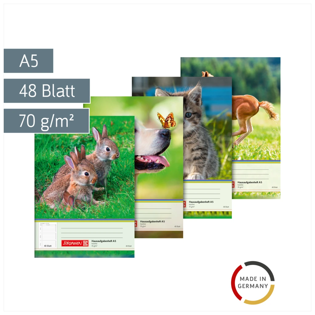 Hausaufgabenheft | A5, 48 Blatt, sortiert