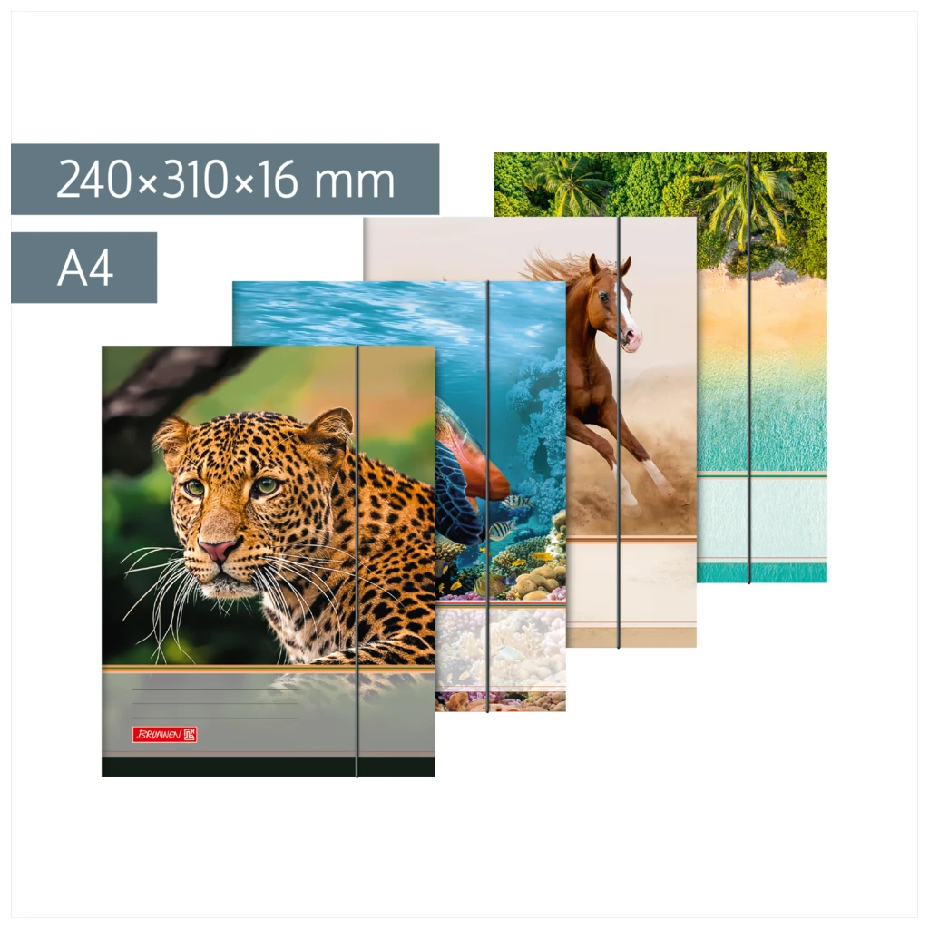 Sammelmappe für A4 | A4, Füllhöhe: 16 mm, sortiert