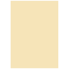 Multifunktionspapier Universalpapier | A4, 160 g/m², chamois, 25 Blatt