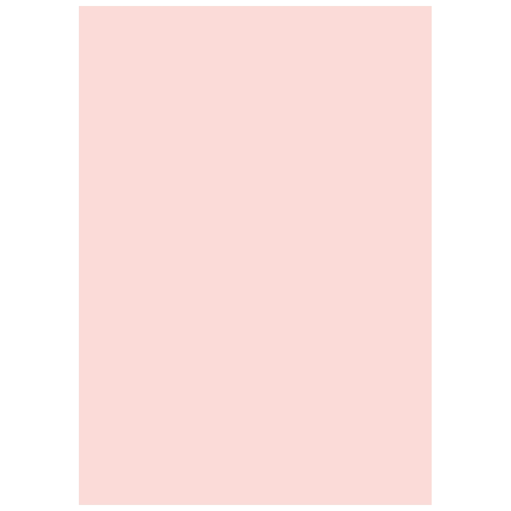Multifunktionspapier Universalpapier | A4, 160 g/m², rosé, 25 Blatt