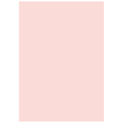 Multifunktionspapier Universalpapier | A4, 160 g/m², rosé, 25 Blatt