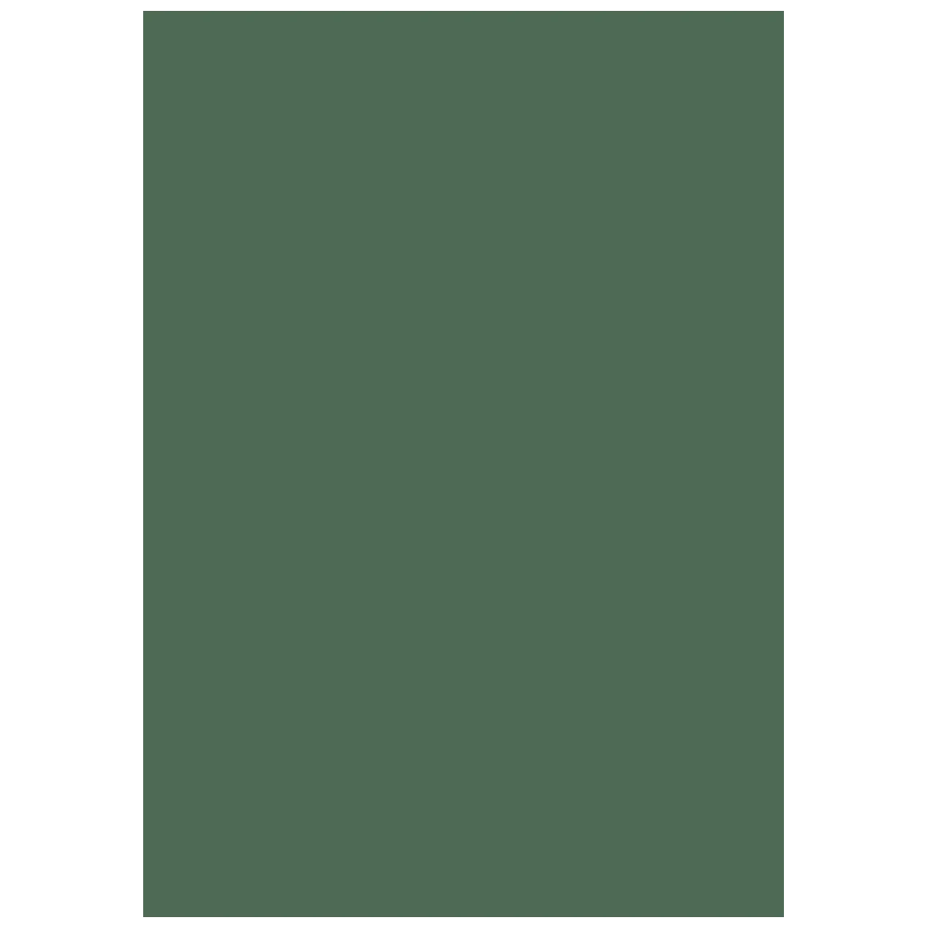 Multifunktionspapier Universalpapier | A4, 80 g/m², moosgrün, 50 Blatt
