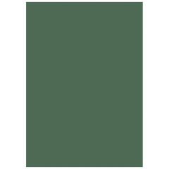 Multifunktionspapier Universalpapier | A4, 80 g/m², moosgrün, 50 Blatt