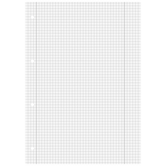 Schulblock Premium | A4, Lineatur 28, 50 Blatt, grau