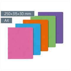 Ringbuch FACT!plus | A4, 2 Ringe, Füllhöhe: 30 mm, sortiert
