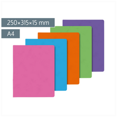 Ringbuch FACT!plus | A4, 2 Ringe, Füllhöhe: 15 mm, sortiert