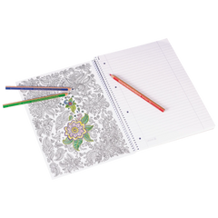 Collegeblock Premium Student „Schmetterling“ ZENart | A4, Lineatur 27, 80 Blatt, weiß