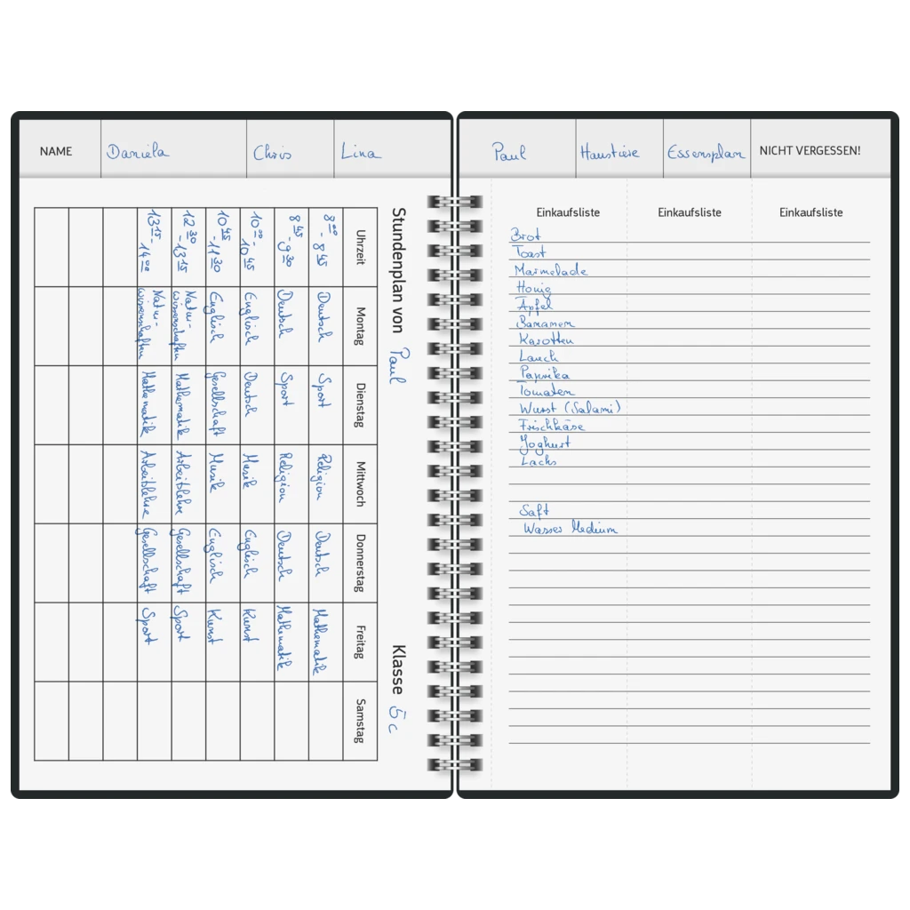 Buchkalender Familienplaner 2027 „Lions“ | A5, Papier