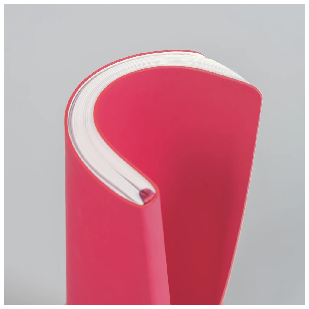 Taschenkalender Kompagnon Mod. 732 66 2027 | A6, Kunststoff, pink