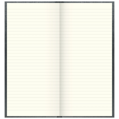 Geschäftsbuch | 2/3 A4, 288 Seiten, liniert, Kunststoff, grau